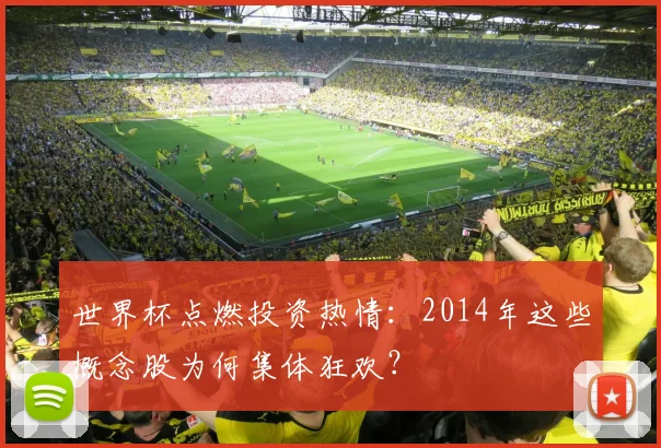 世界杯点燃投资热情:2014年这些概念股为何集体狂欢?