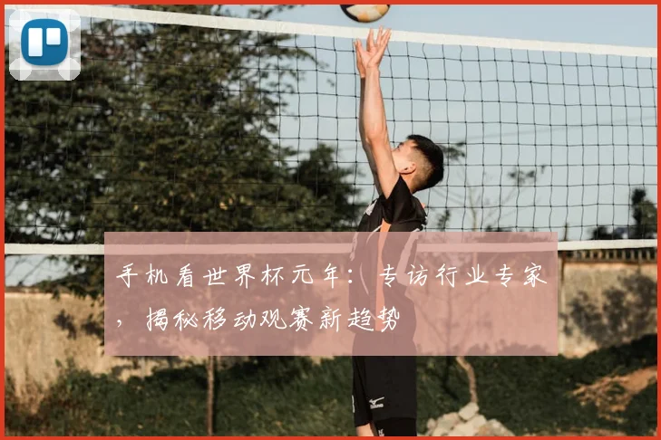 手机看世界杯元年：专访行业专家，揭秘移动观赛新趋势
