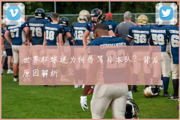 世界杯球迷为何辱骂日本队？背后原因解析