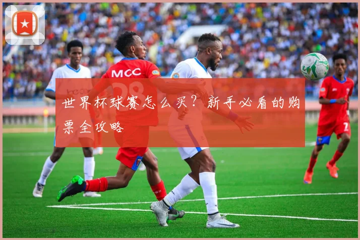 世界杯球赛怎么买？新手必看的购票全攻略