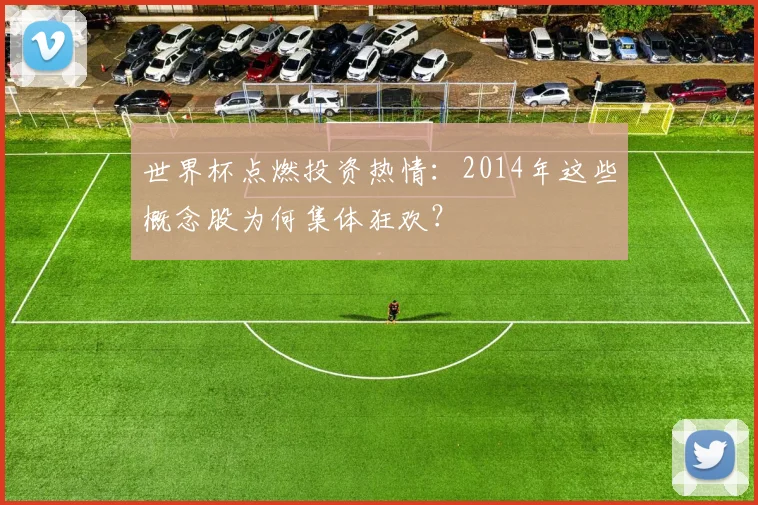 世界杯点燃投资热情:2014年这些概念股为何集体狂欢?