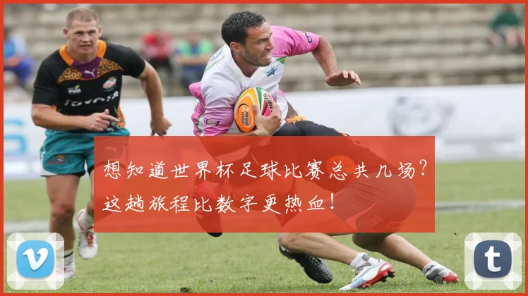 想知道世界杯足球比赛总共几场?这趟旅程比数字更热血!