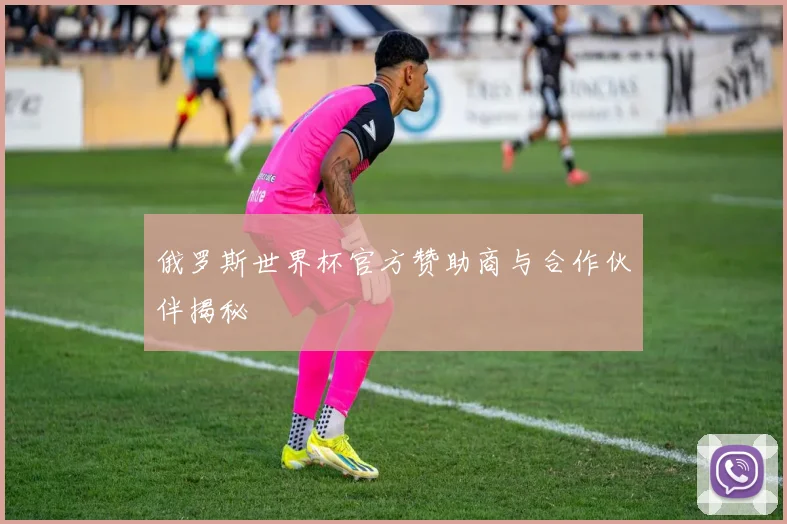 俄罗斯世界杯官方赞助商与合作伙伴揭秘