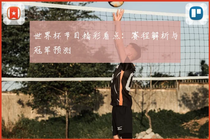 世界杯节目精彩看点：赛程解析与冠军预测
