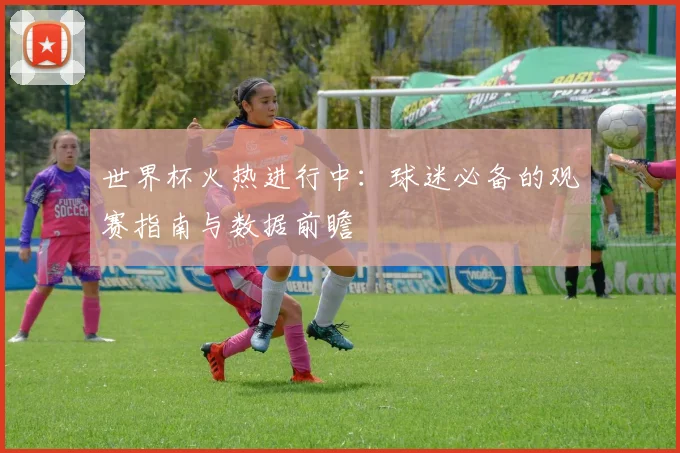 世界杯火热进行中:球迷必备的观赛指南与数据前瞻