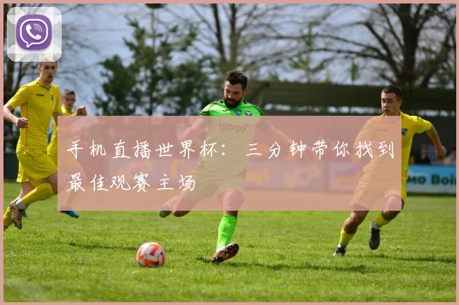 手机直播世界杯：三分钟带你找到最佳观赛主场