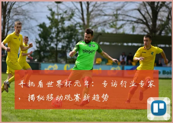 手机看世界杯元年：专访行业专家，揭秘移动观赛新趋势
