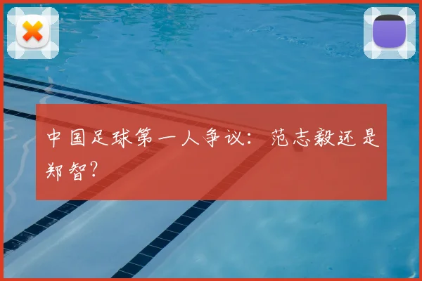 中国足球第一人争议：范志毅还是郑智？