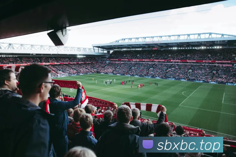 体育赛事直播